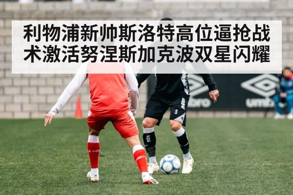 利物浦新帅斯洛特高位逼抢战术激活努涅斯加克波双星闪耀